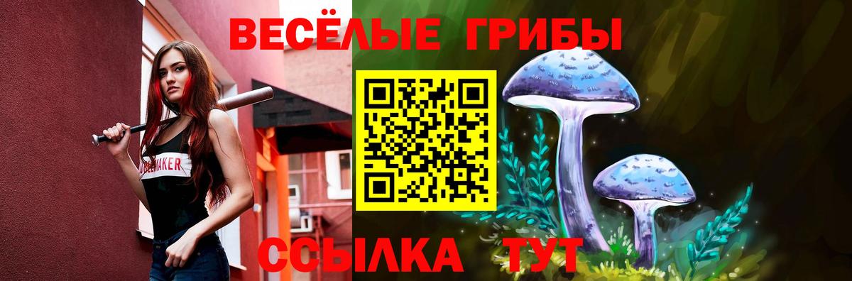 Черкесск  Галлюциногенные грибы Psilocybe  Вход с VPN 