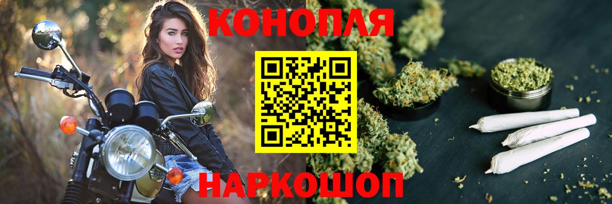 Конопля OG Kush Черкесск